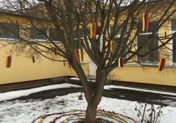 Supinsim pynę Lietuvai